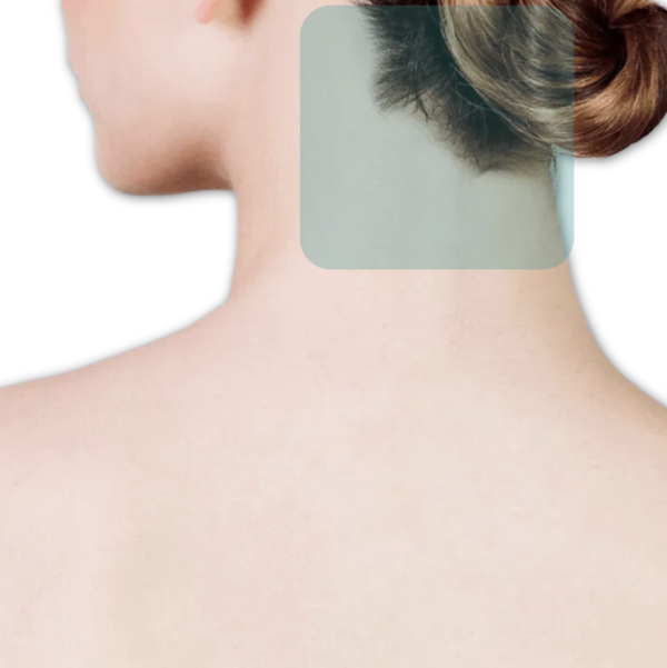 CUELLO POSTERIOR