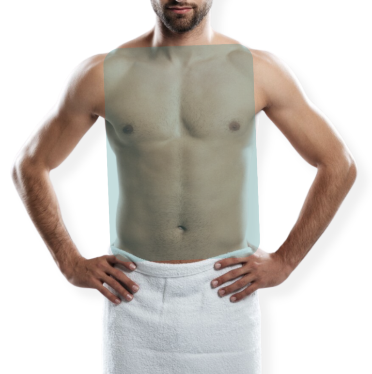 PECHO + ABDOMEN (TORSO ANTERIOR)